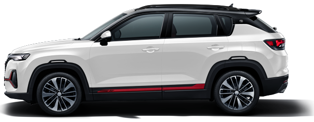 Снежно-Белый